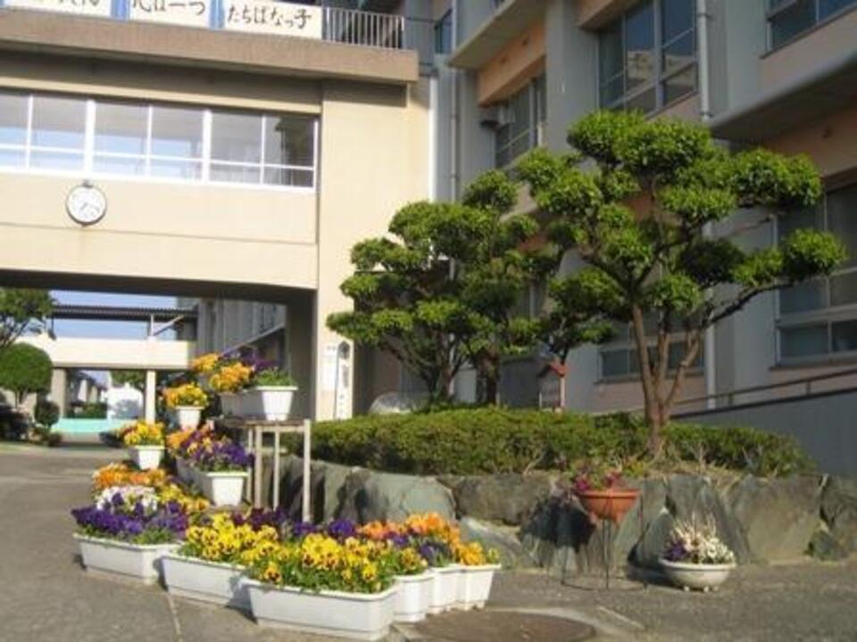 ゴミステーション