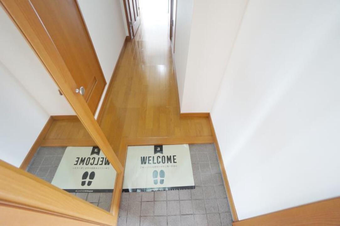 シャンプードレッサー