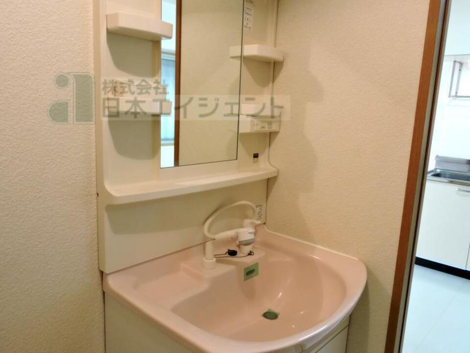 シャンプードレッサー