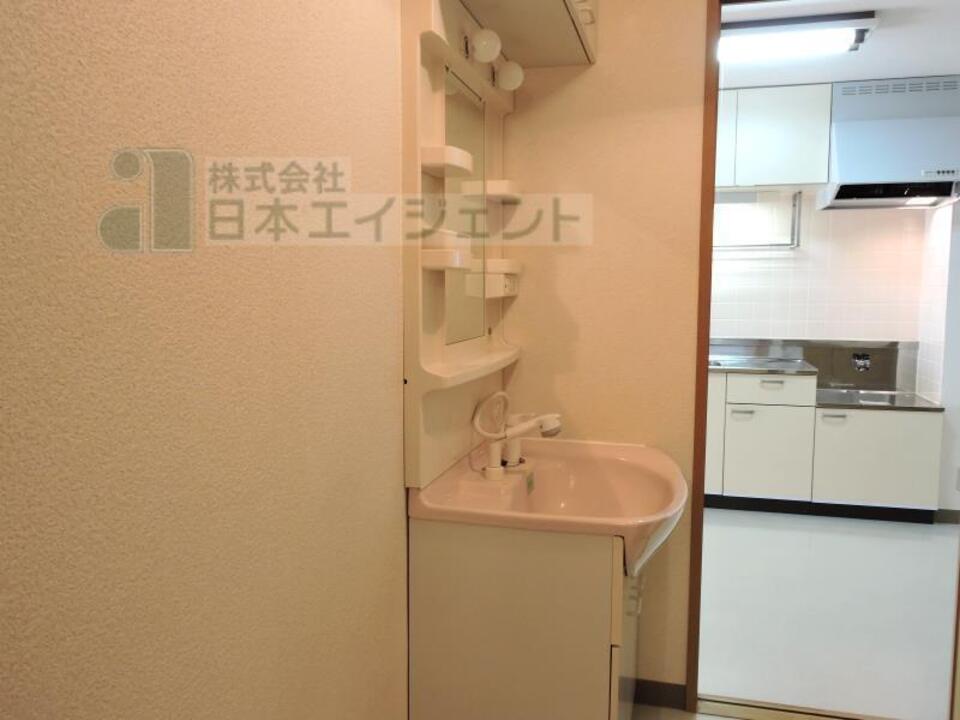 シャンプードレッサー