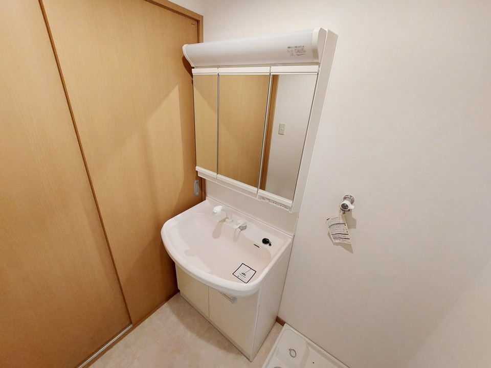 シャンプードレッサー