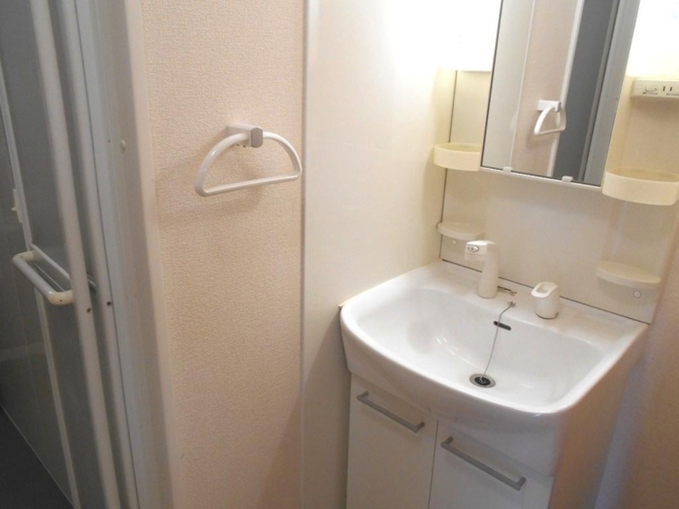 シャンプードレッサー