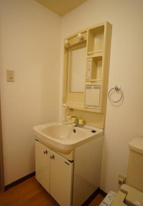 シャンプードレッサー