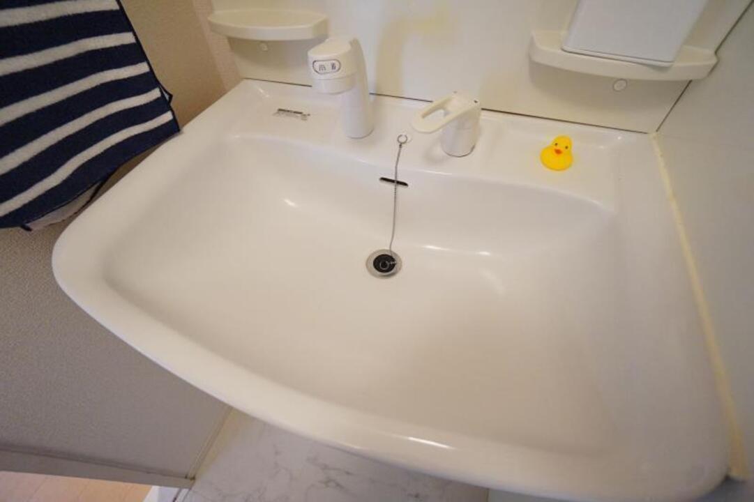 シャンプードレッサー