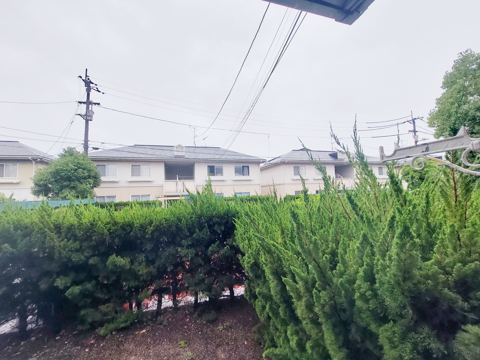 背景