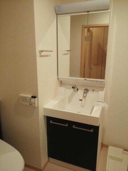 シャンプードレッサー