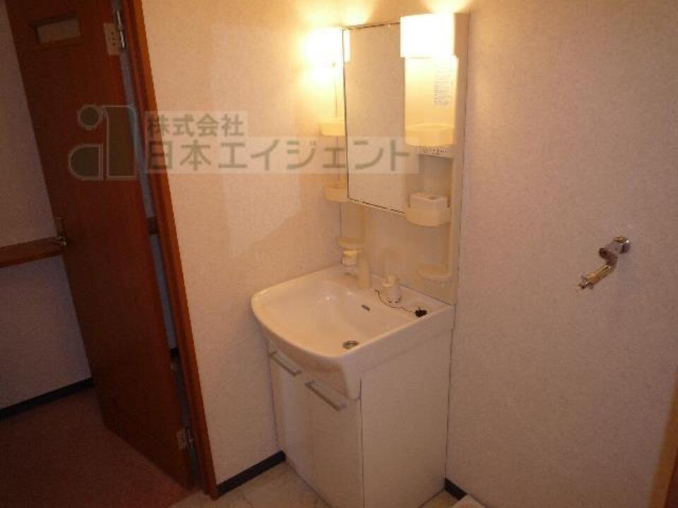 シャンプードレッサー