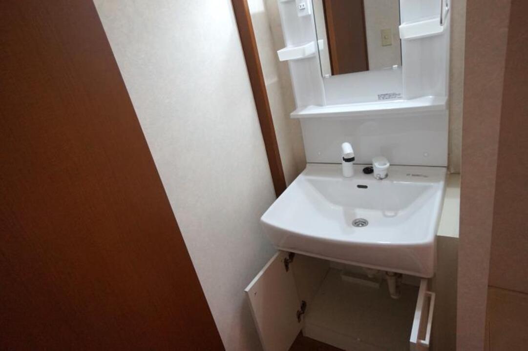 シャンプードレッサー