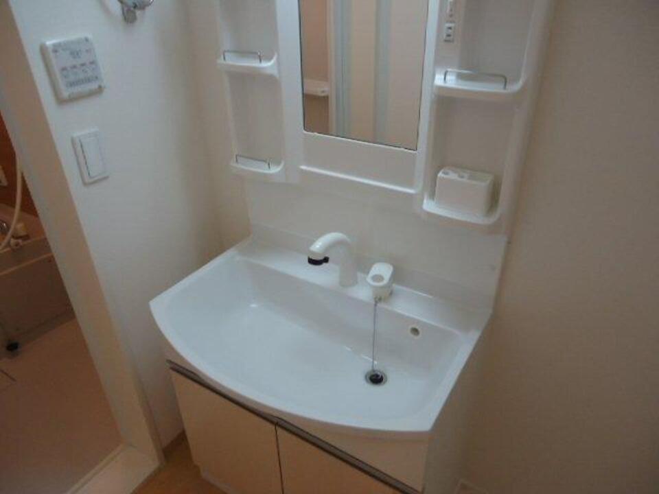 シャンプードレッサー