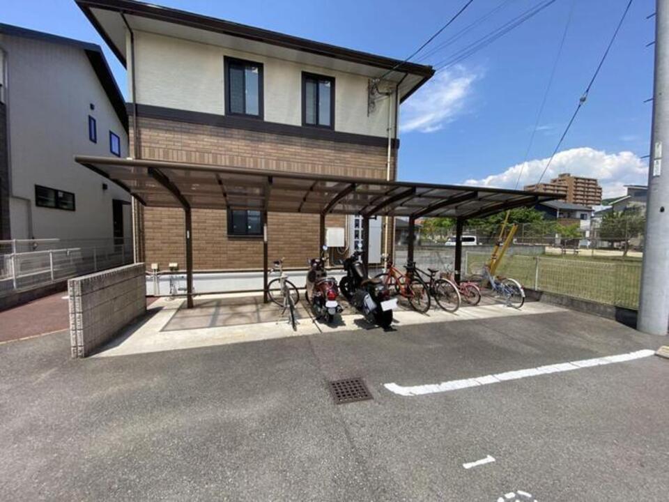 シャンプードレッサー