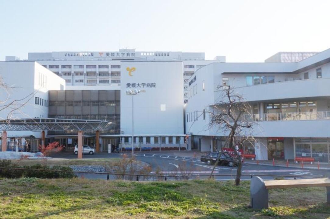 内観