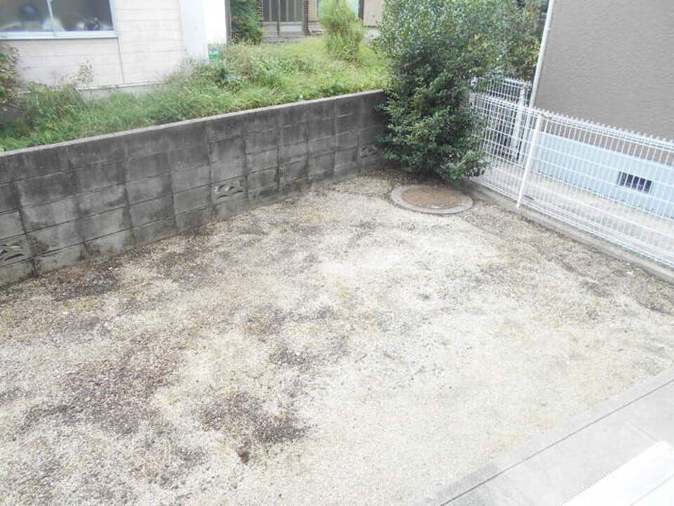 庭