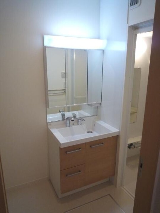 シャワー付洗面化粧台