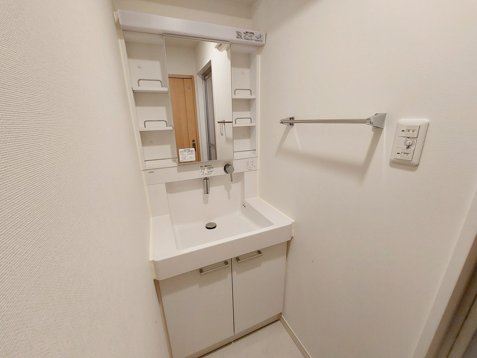 シャンプードレッサー