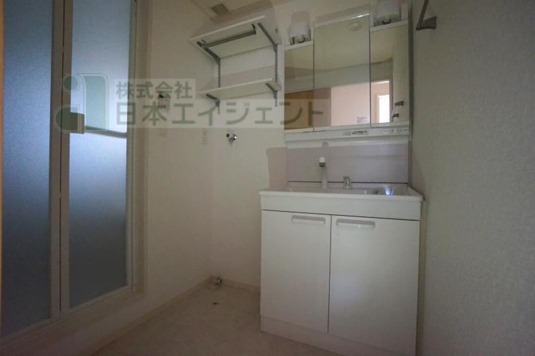 シャンプードレッサー