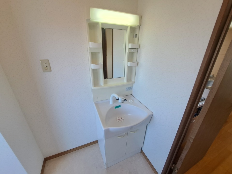 シャンプードレッサー