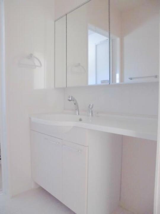 シャンプードレッサー