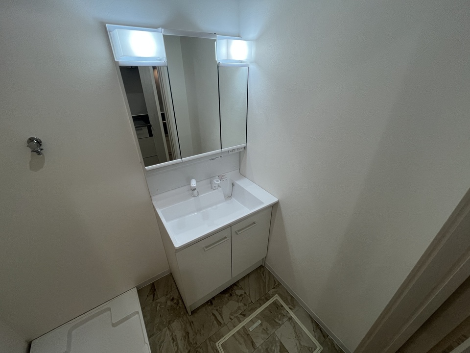 シャワー付洗面化粧台