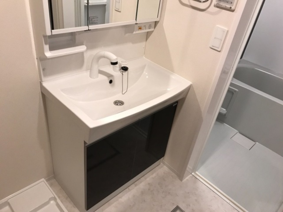 シャワー付洗面化粧台