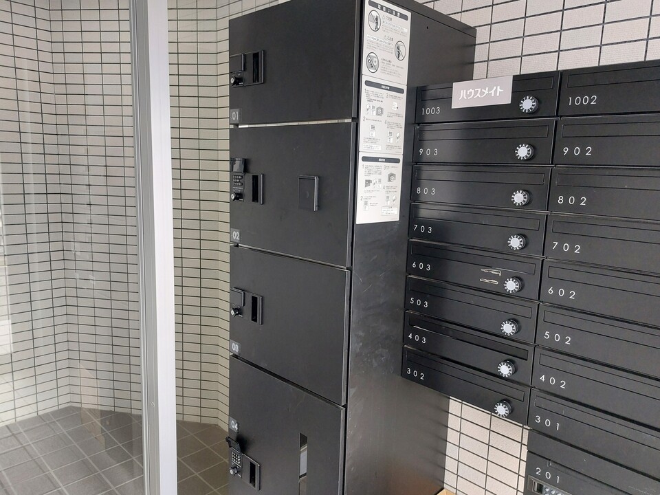 シャンプードレッサー