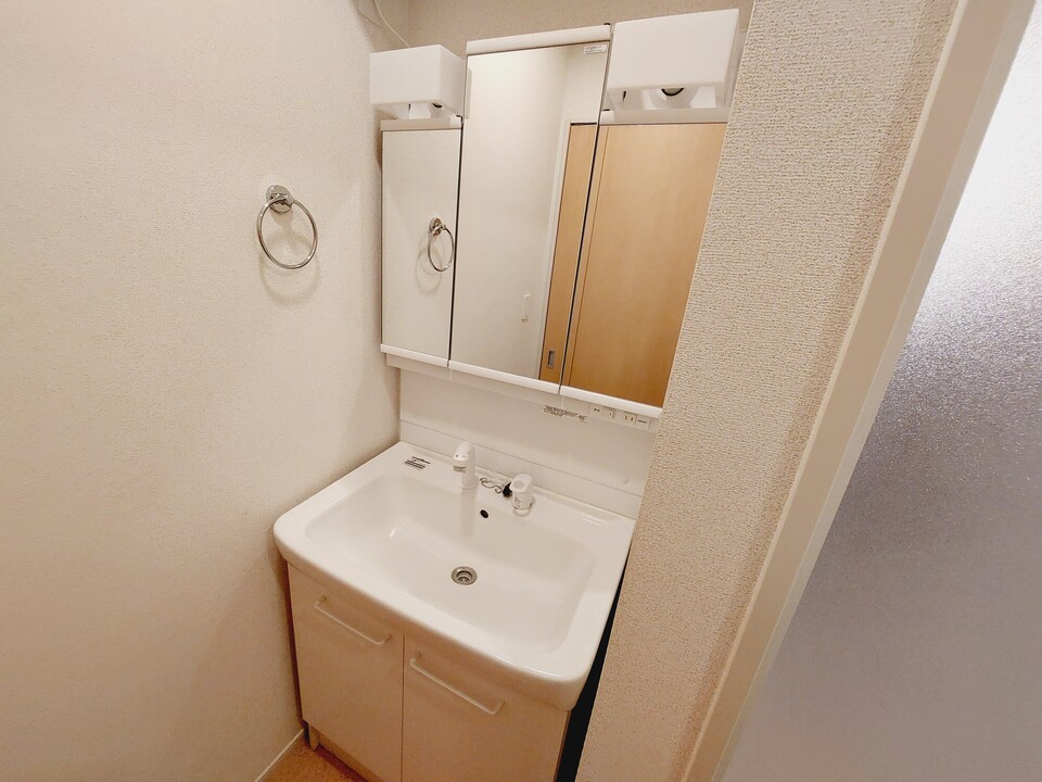 シャワー付洗面化粧台