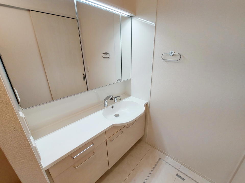 シャワー付洗面化粧台