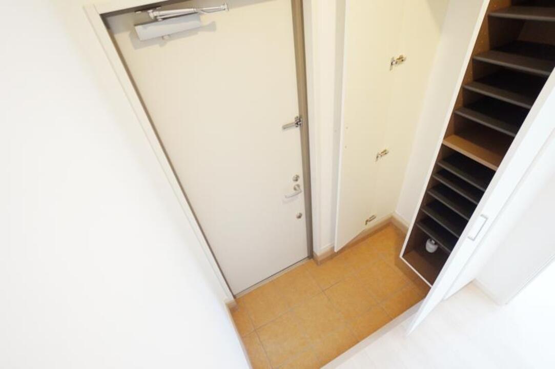 シャンプードレッサー