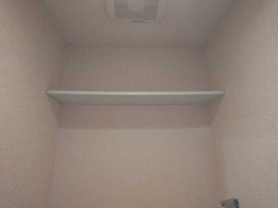棚