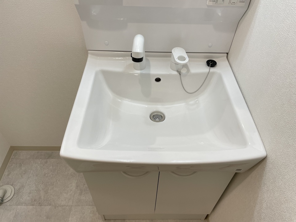 シャンプードレッサー