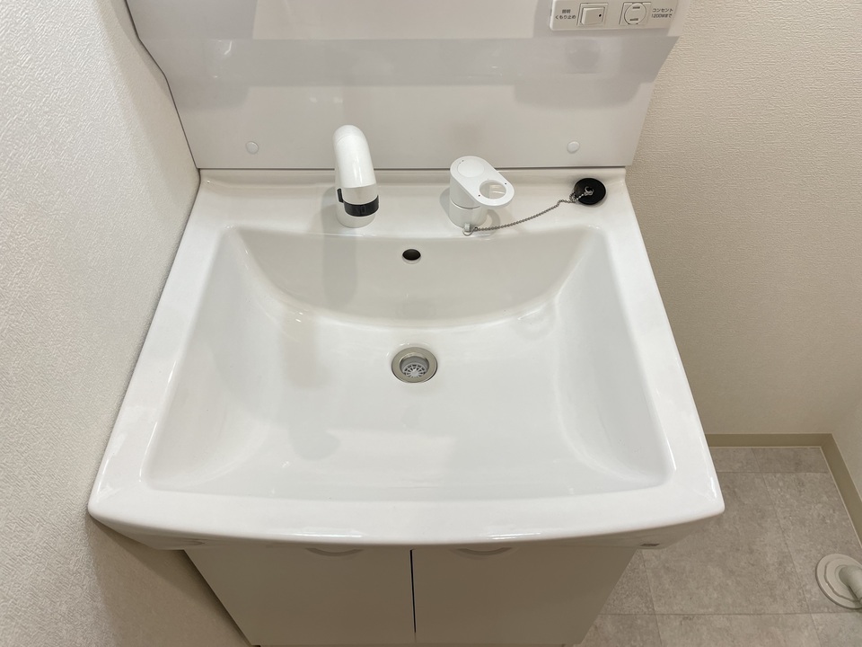 シャンプードレッサー