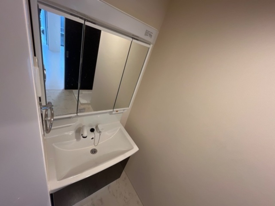 シャワー付洗面化粧台