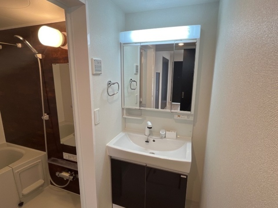 シャワー付洗面化粧台