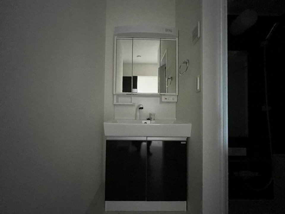 シャワー付洗面化粧台