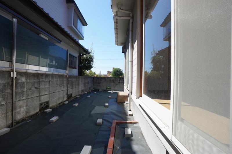 庭