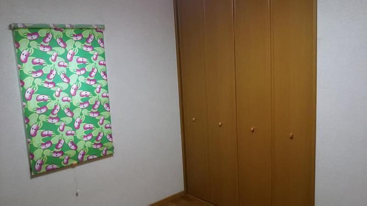 TVモニターホン